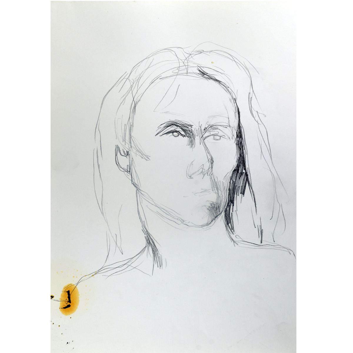 DSC_4567-copy1200x1200