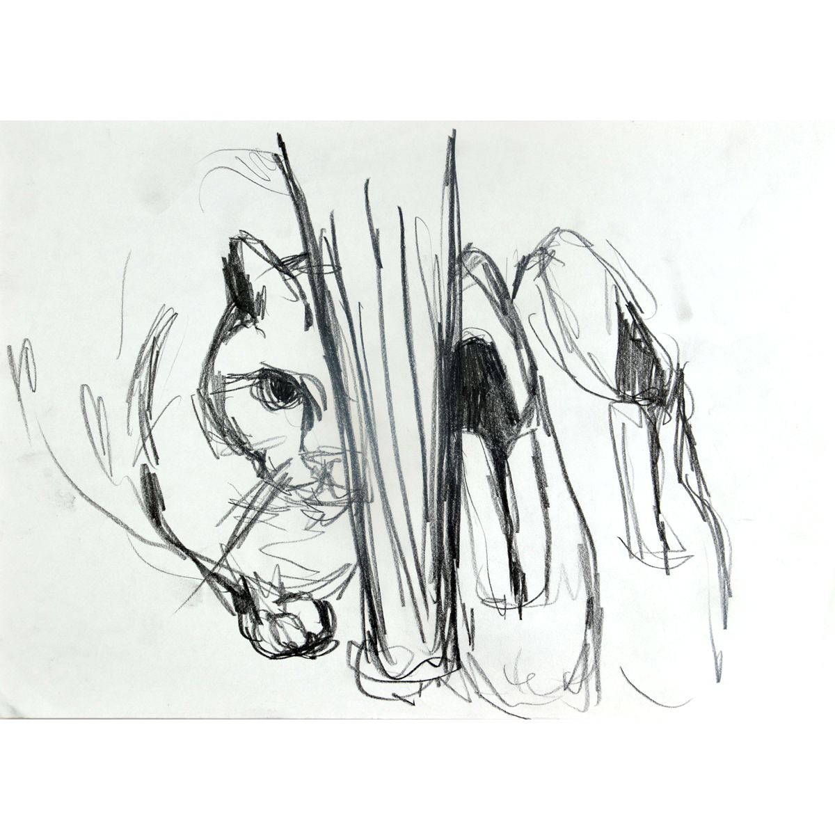 DSC_5463-copy1200x1200