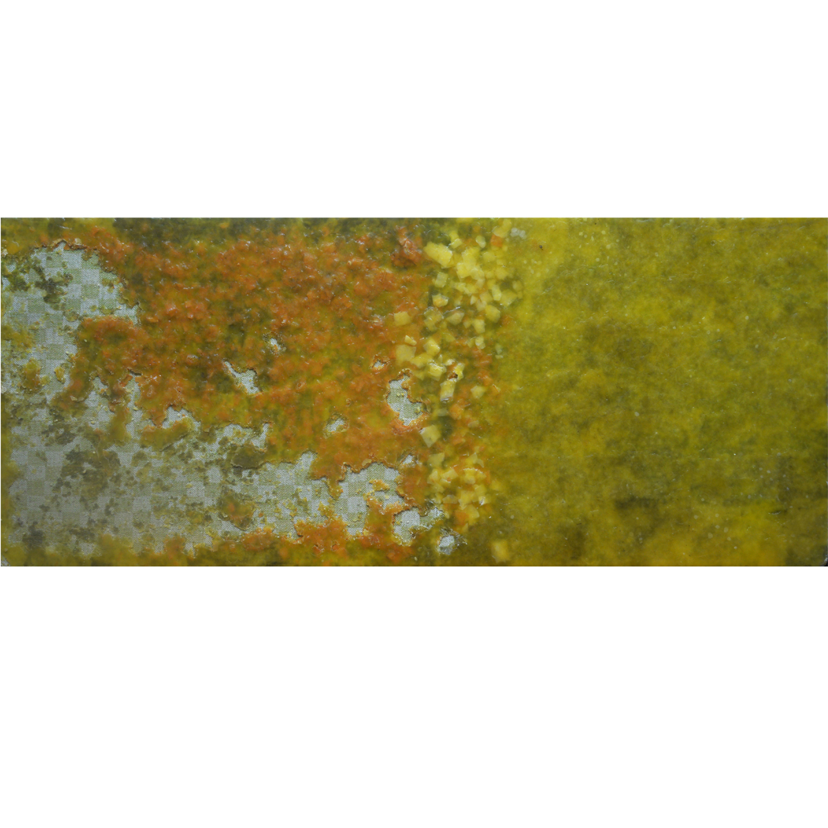 DSC_6784-copy100X12002